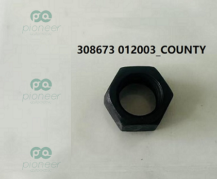 COUNTY 308673012003 NUT