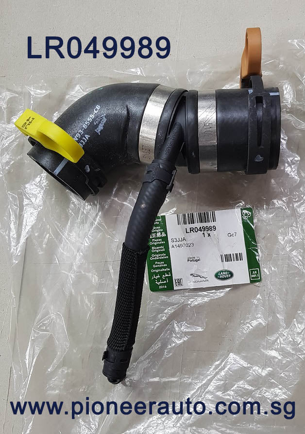 LR049989