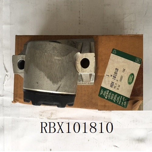 RBX101810