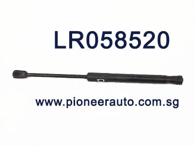LR058520